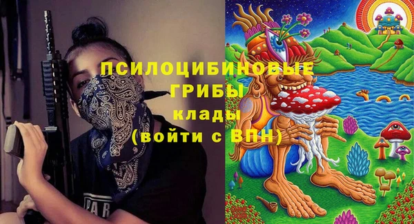 гашиш Новозыбков