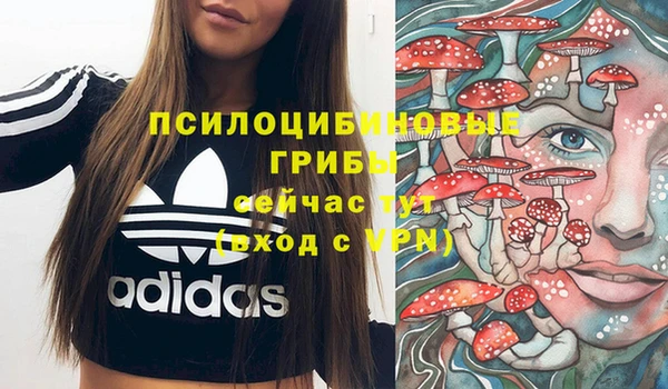 jwh Новодвинск