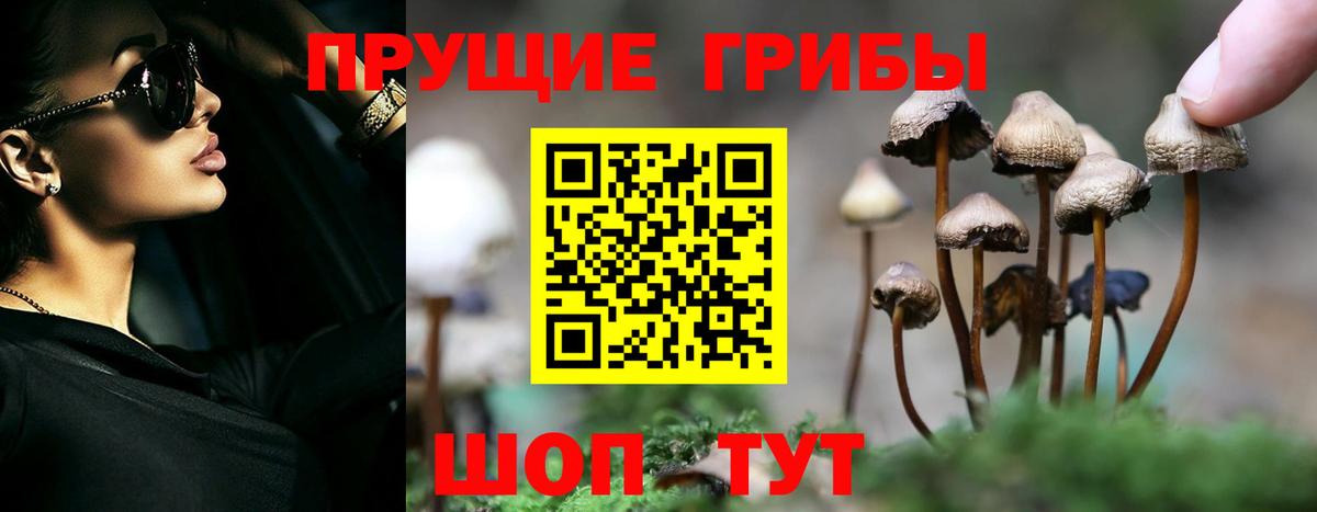 Псилоцибиновые грибы MAGIC MUSHROOMS  Вход с VPN  Советский 
